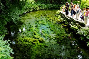 森林と湧水源と観光客［白川水源・南阿蘇村］