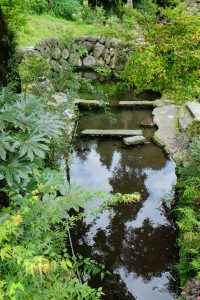 庭の池のような水源［川地後水源・南阿蘇村］