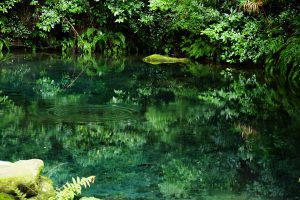 写し鏡のような水面［塩井社水源・南阿蘇村］