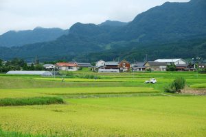 水源周辺は農耕地帯［小池水源・南阿蘇村］