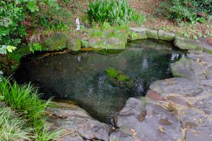 湧水源の池［明神池名水公園・南阿蘇村］