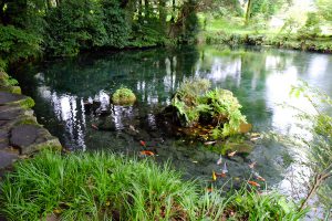 林に囲まれた湧水池［明神池名水公園・南阿蘇村］