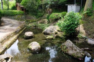 妙見神社の池［熊本県阿蘇郡南阿蘇村久石1068］