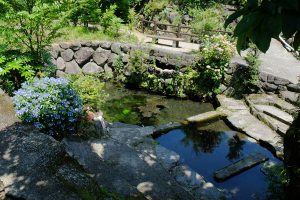 水源は池の北側［川地後水源・南阿蘇村］