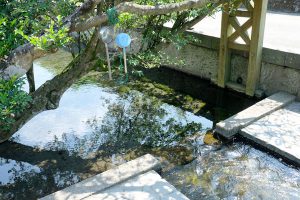 湧水源と汲み場［湧沢津水源・南阿蘇村］