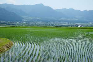 南方向の農耕地帯［湧沢津水源・南阿蘇村］