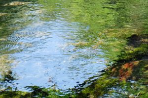 毎分5トン豊富な湧水［湧沢津水源・南阿蘇村］